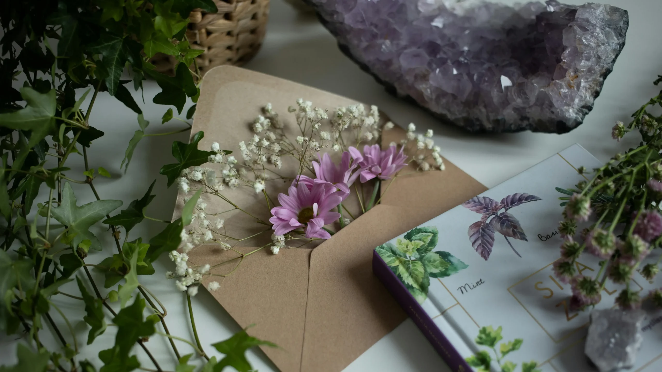 Arrangement aus mehreren Amethyst-Rohsteinen; Detailaufnahme mit klaren Kristallspitzen.