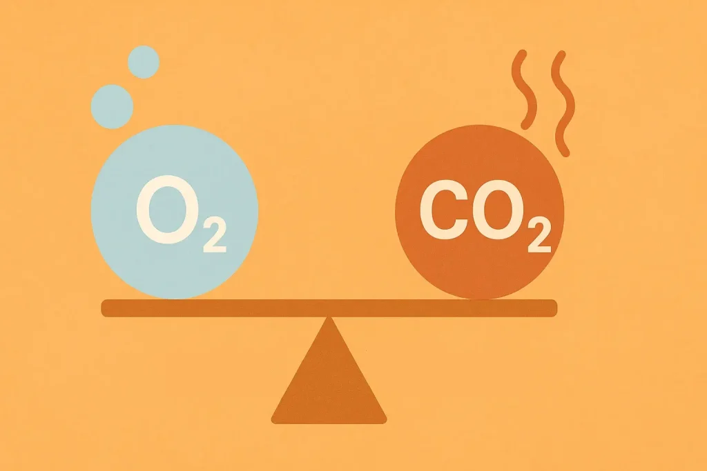 Illustration zeigt das Gleichgewicht von Sauerstoff und CO2 im Blut