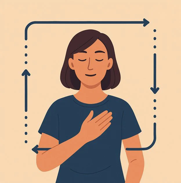 Visualization of box breathing with a square breathing cycle of 4-4-4-4 and a calm person breathing.