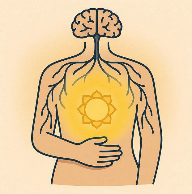 Darstellung des Bauchzentrums mit Nervenbahnen und gelbem Licht, symbolisiert Manipura als Kraftwerk